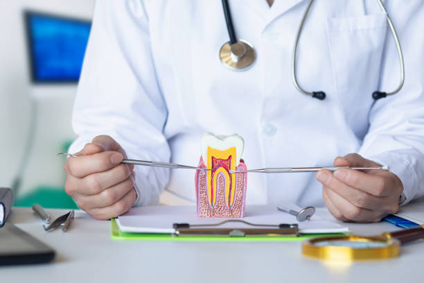 Best Emergency Dental Extractions in Roscoe, IL